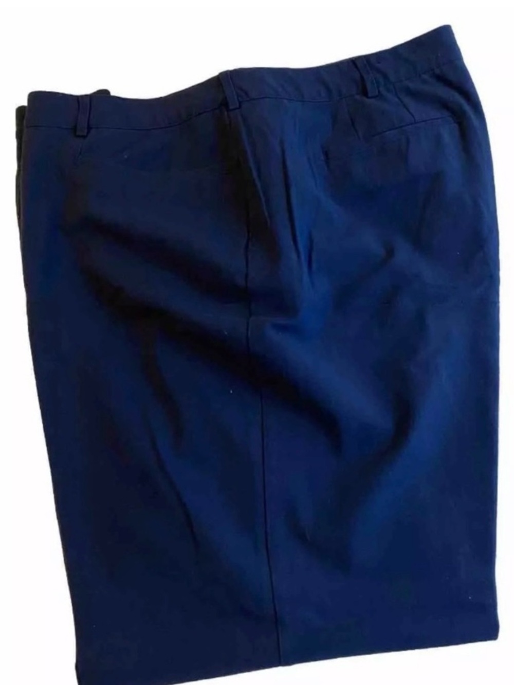 Lane Bryant Navy Blue Tailored Slacks - Picture 2 of 5
